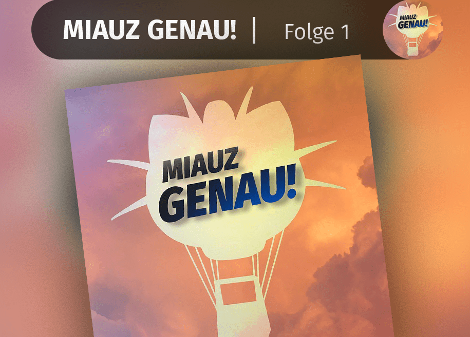 pokemon podcast, miauz genau!, deutsch, erste folge